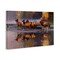 Stupell Industries Distant Challenge Elk Family Canvas Wall Art Design by Rod Lawrence
